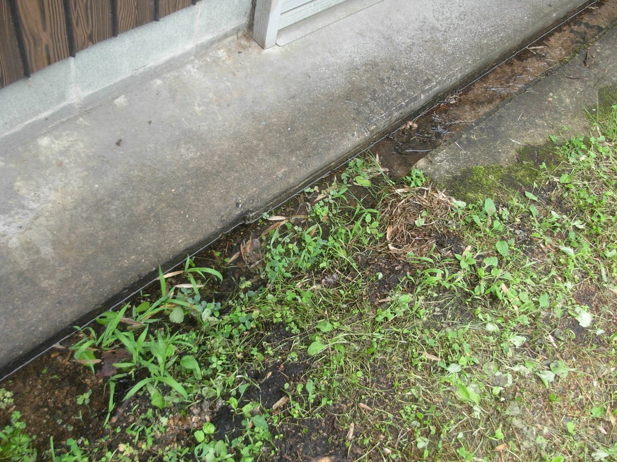 f:id:yamanoimokkoubou:20200708212108j:plain f:id:yamanoimokkoubou:20200708212108j:plain