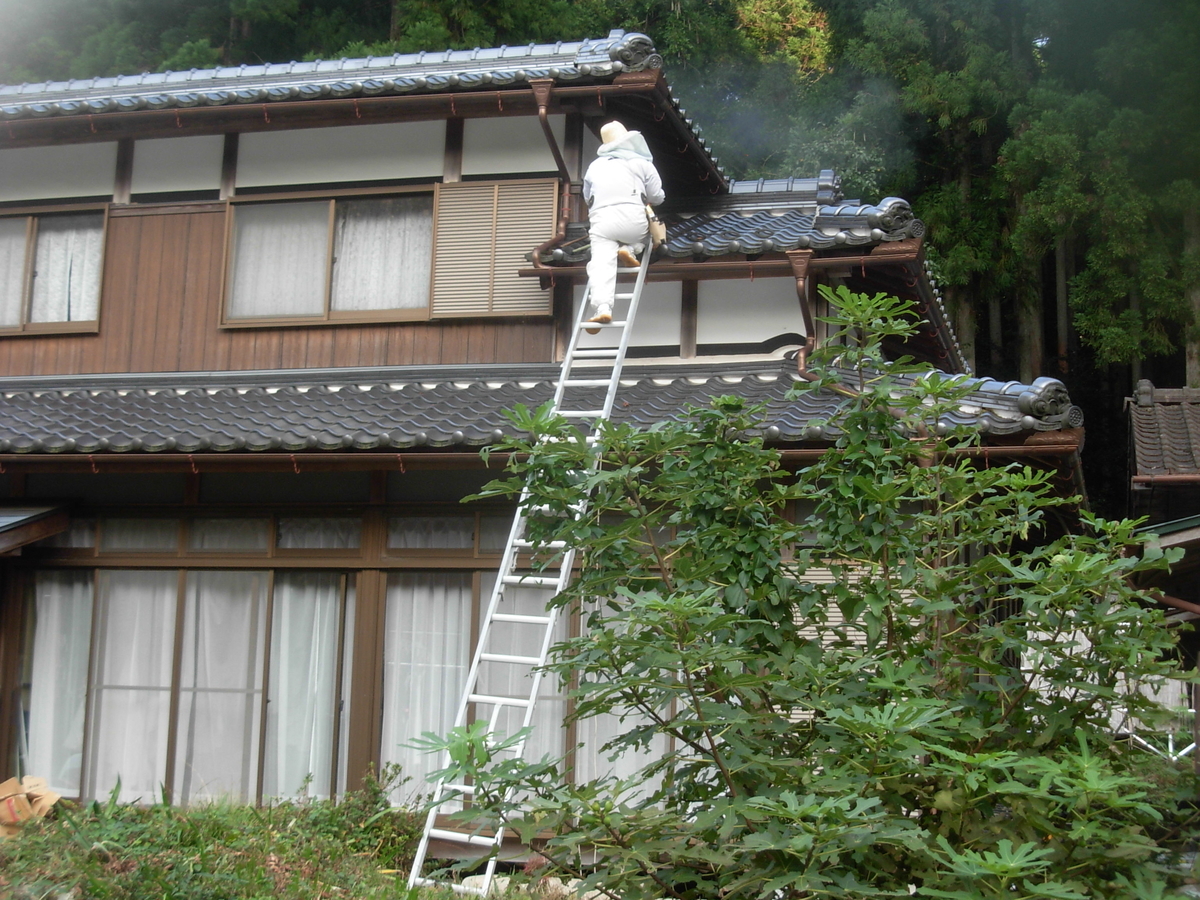 f:id:yamanoimokkoubou:20210925205608j:plain