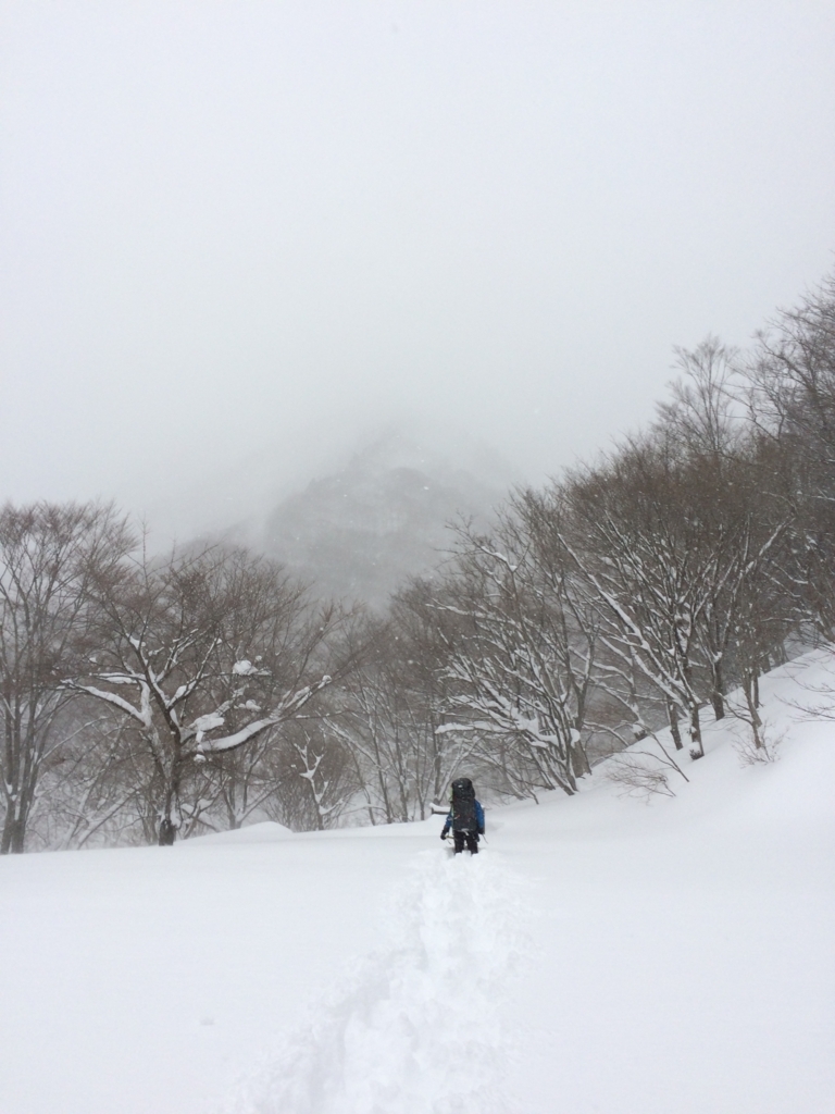 f:id:yamanomad:20180127102203j:plain f:id:yamanomad:20180127102203j:plain