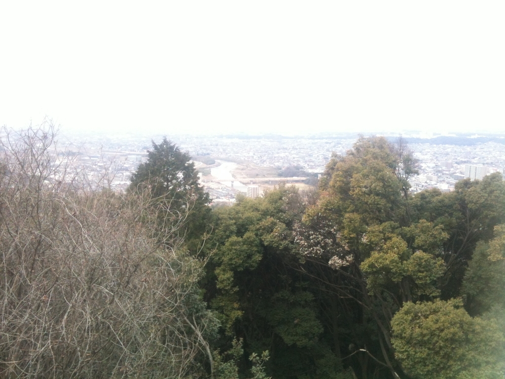 f:id:yamanomad:20190312114212j:plain