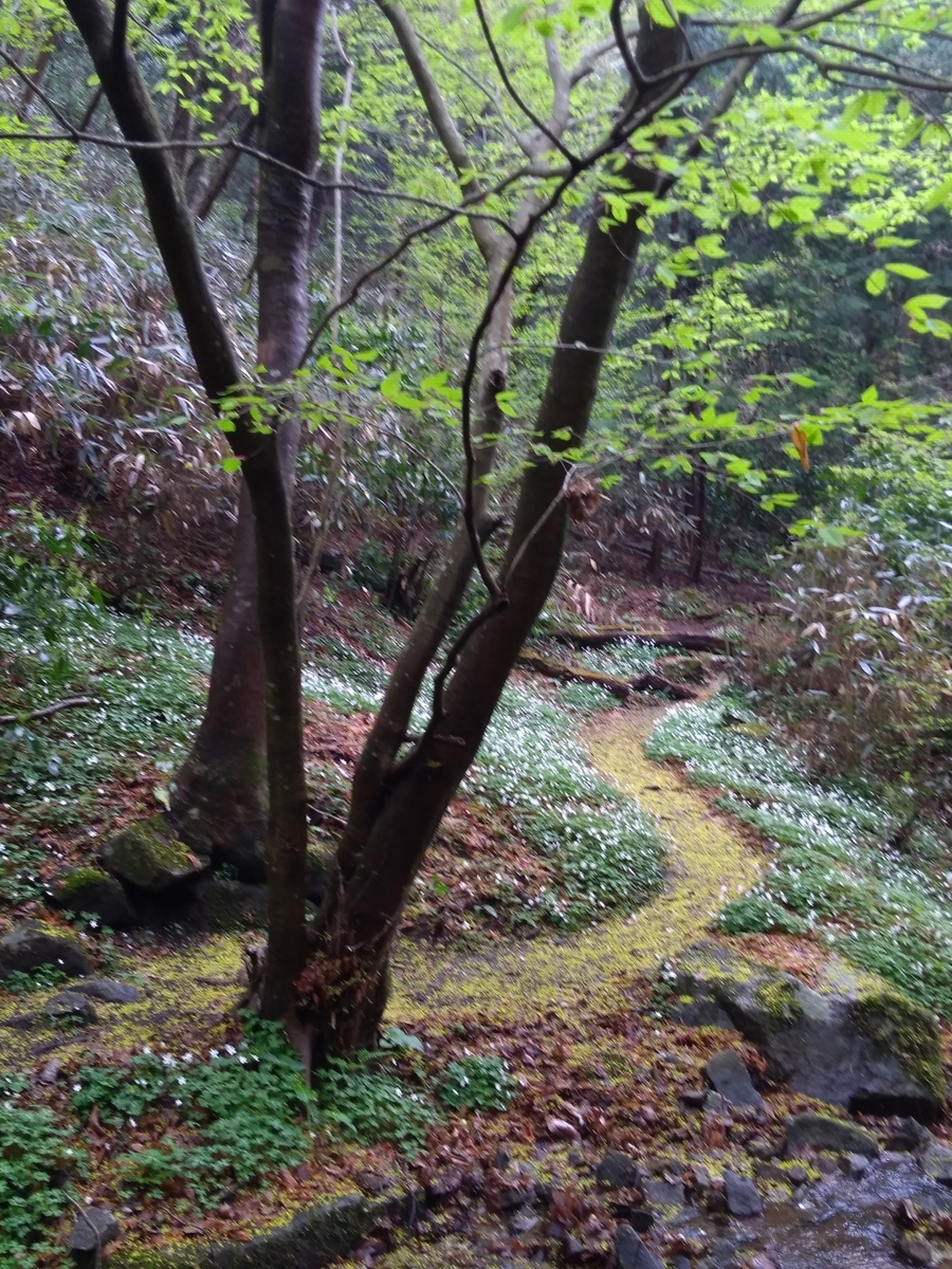 f:id:yamanomad:20190425133948j:plain f:id:yamanomad:20190425133948j:plain