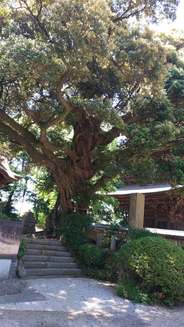 f:id:yamanomad:20190526001329j:plain f:id:yamanomad:20190526001329j:plain