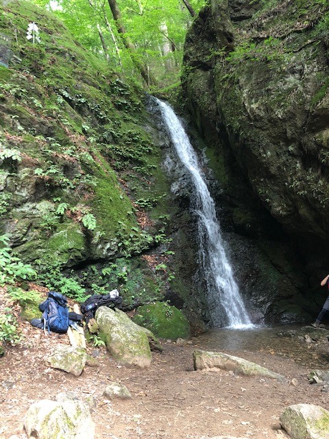 f:id:yamanomad:20190816130516j:plain f:id:yamanomad:20190816130516j:plain