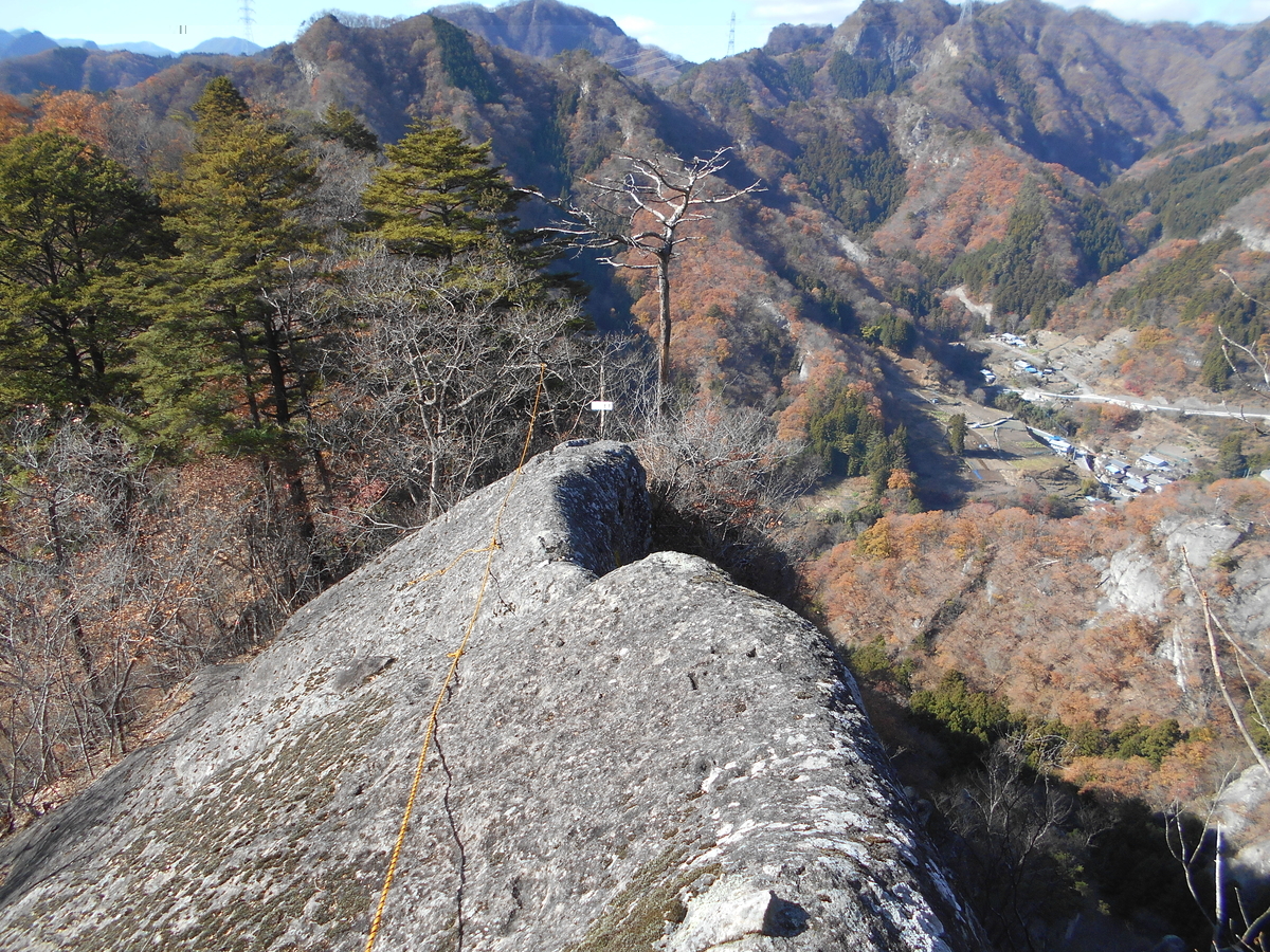 f:id:yamanomad:20191130111329j:plain