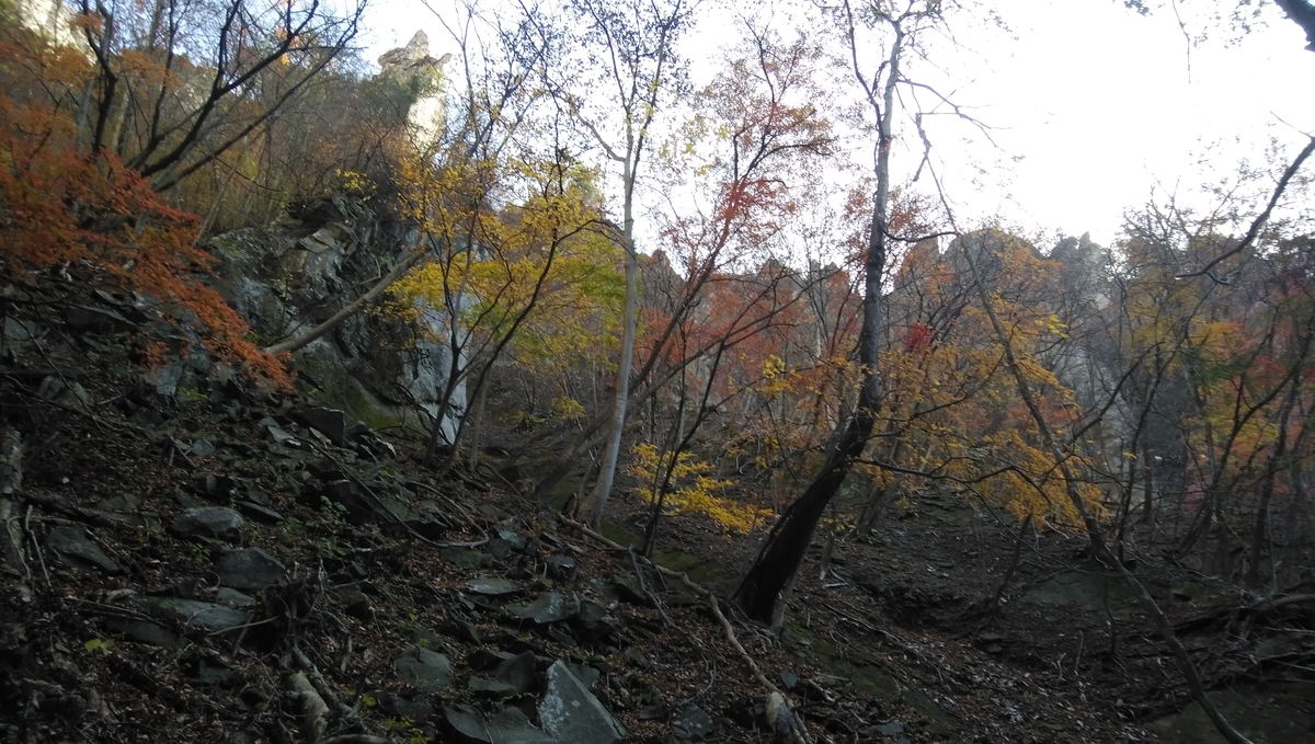 f:id:yamanomad:20191130121112j:plain