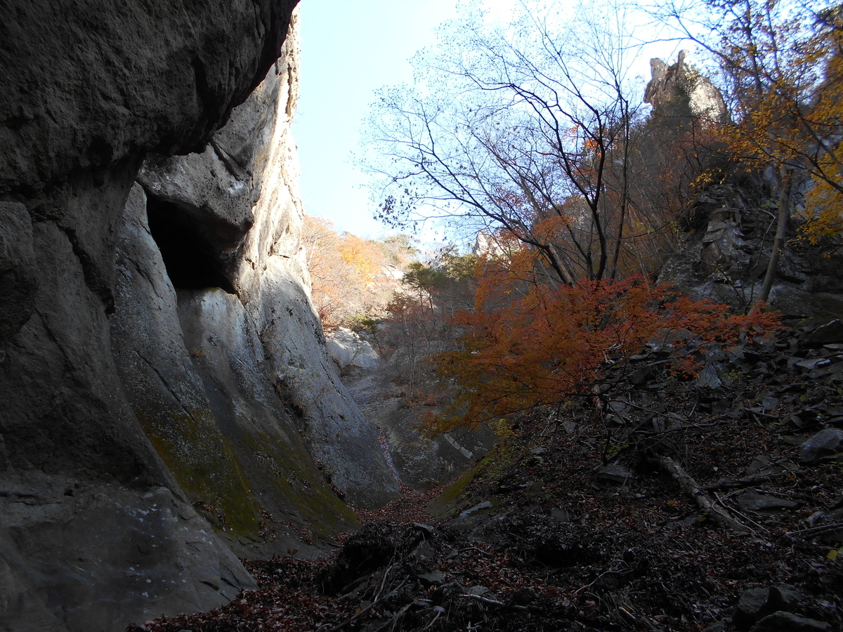 f:id:yamanomad:20191130122352j:plain