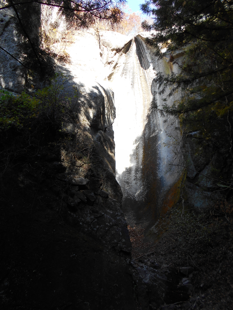 f:id:yamanomad:20191130123948j:plain