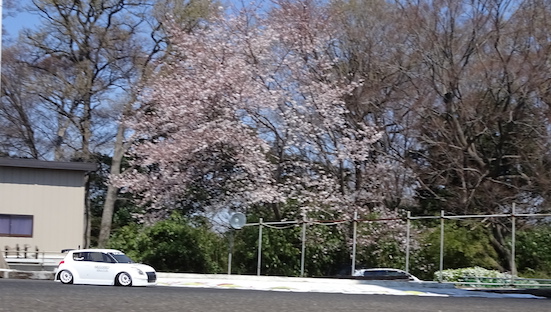 イメージ 27
