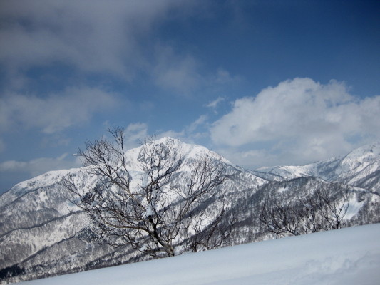 f:id:yamanouta:20090301122621j:image
