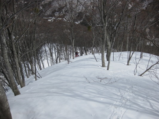 f:id:yamanouta:20090308113736j:image