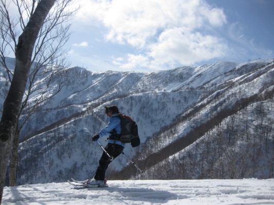 f:id:yamanouta:20090315151200j:image