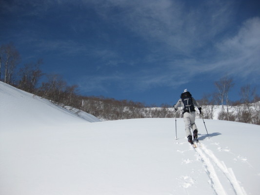f:id:yamanouta:20091230112502j:image f:id:yamanouta:20091230112502j:image