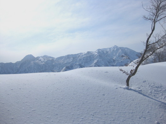 f:id:yamanouta:20091230120200j:image f:id:yamanouta:20091230120200j:image