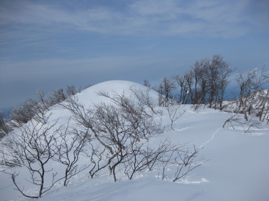 f:id:yamanouta:20091230121540j:image f:id:yamanouta:20091230121540j:image