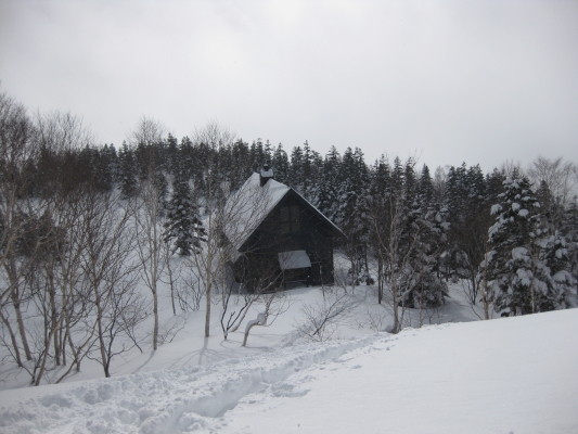 f:id:yamanouta:20100123100932j:image