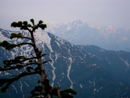 f:id:yamanouta:20100620063901j:image f:id:yamanouta:20100620063901j:image