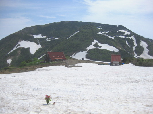 f:id:yamanouta:20100620100042j:image f:id:yamanouta:20100620100042j:image