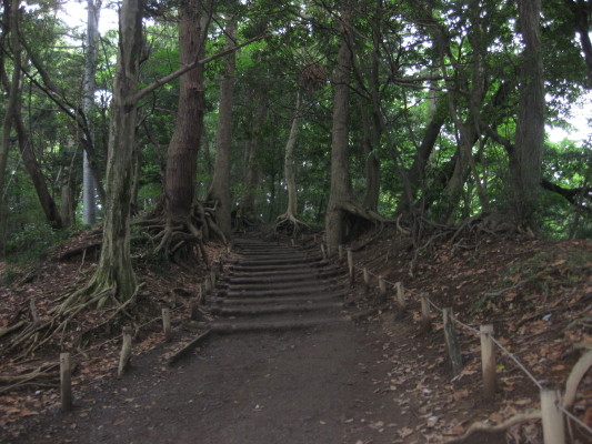 f:id:yamanouta:20100703105017j:image