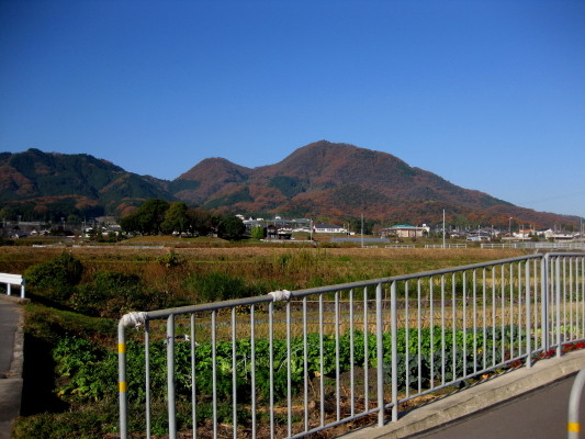 f:id:yamanouta:20101205092733j:image