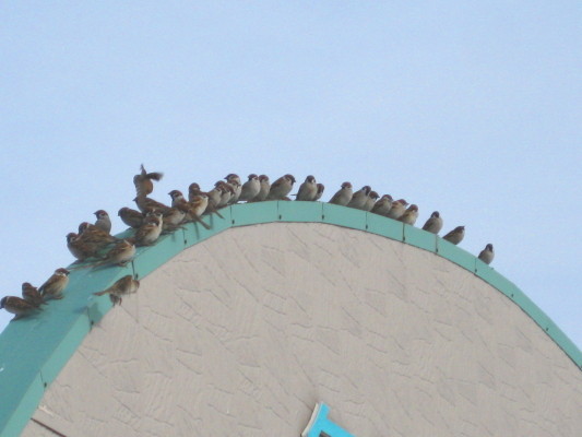 f:id:yamanouta:20110202140158j:image f:id:yamanouta:20110202140158j:image