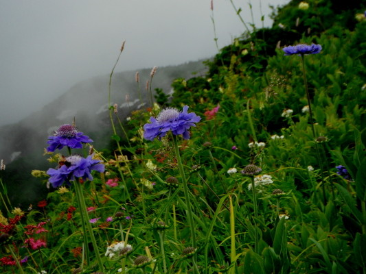 f:id:yamanouta:20110731201357j:image