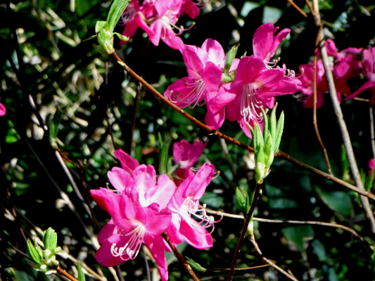 f:id:yamanouta:20120513203157j:image f:id:yamanouta:20120513203157j:image