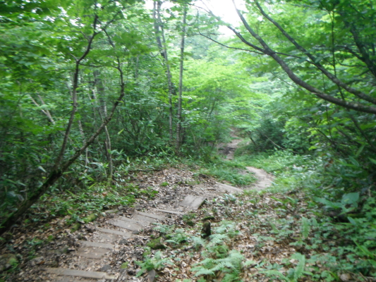 f:id:yamanouta:20120813075801j:image