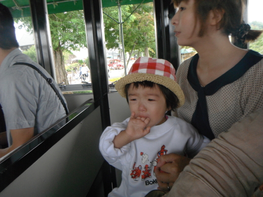 f:id:yamanouta:20120909200617j:image