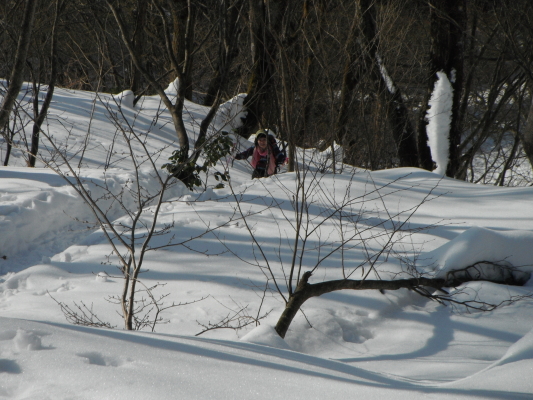 f:id:yamanouta:20130114115723j:image f:id:yamanouta:20130114115723j:image
