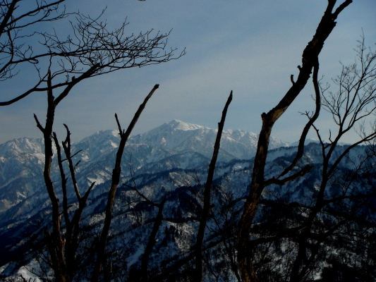 f:id:yamanouta:20130114121020j:image f:id:yamanouta:20130114121020j:image