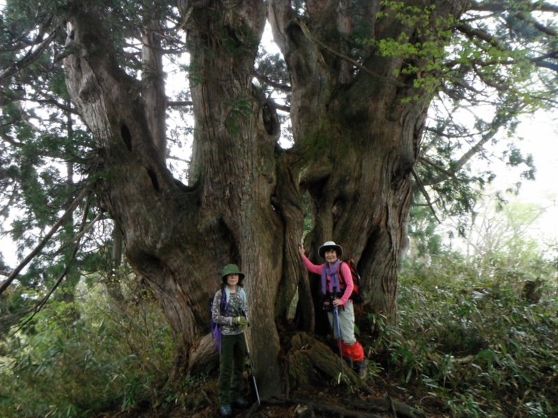 f:id:yamanouta:20140517095205j:image