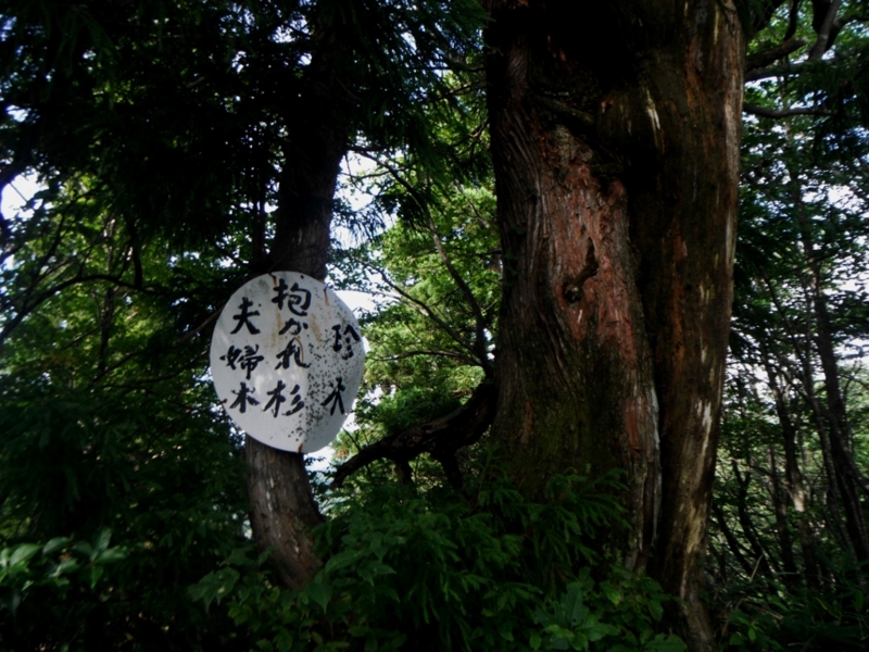 f:id:yamanouta:20140828094651j:image