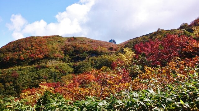 f:id:yamanouta:20141001163632j:image