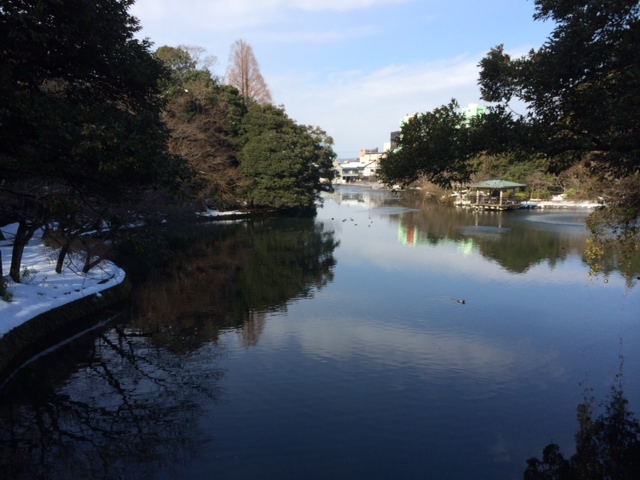 f:id:yamanouta:20141223123635j:image