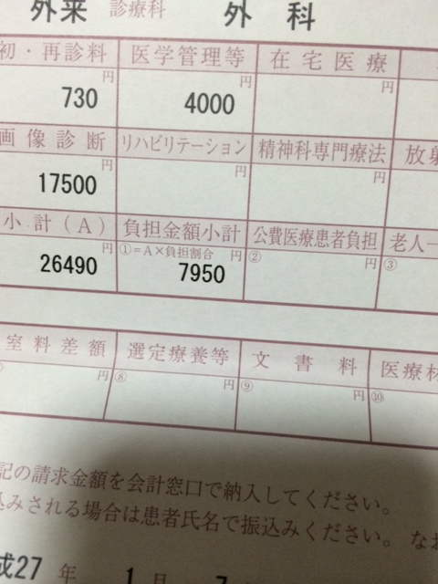 f:id:yamanouta:20150107192119j:image