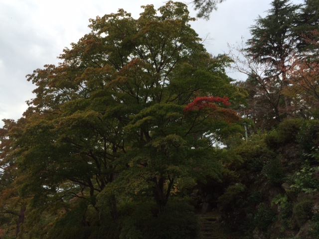 f:id:yamanouta:20151029134943j:image