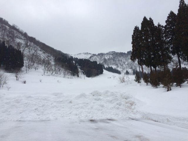 f:id:yamanouta:20160128095940j:image