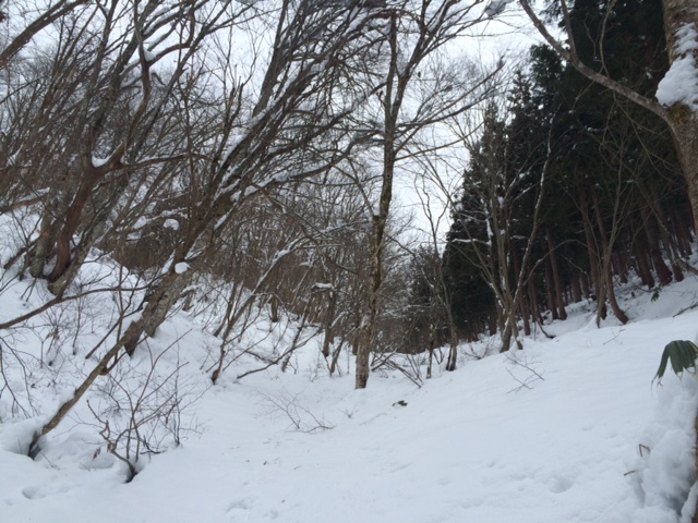 f:id:yamanouta:20160201092206j:image