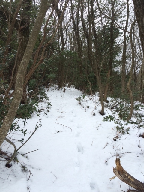 f:id:yamanouta:20160219125316j:image