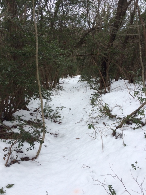 f:id:yamanouta:20160219125330j:image