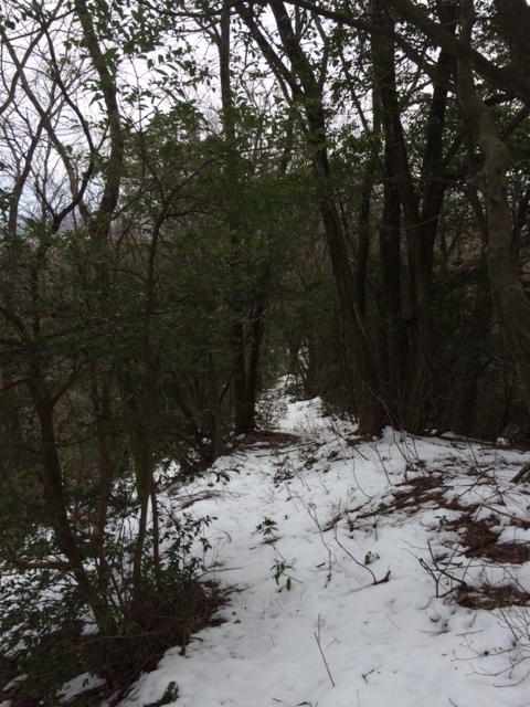 f:id:yamanouta:20160219125809j:image