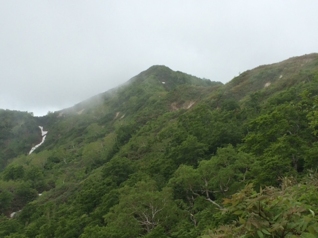 f:id:yamanouta:20160601120821j:image