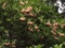 20160601151337