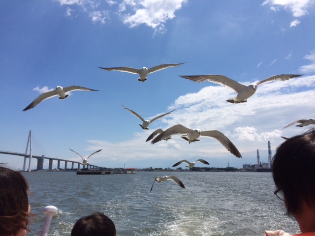 f:id:yamanouta:20160626103624j:image f:id:yamanouta:20160626103624j:image