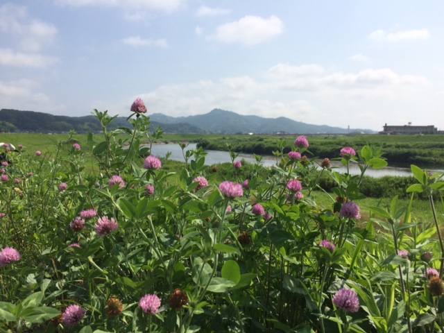 f:id:yamanouta:20160712090438j:image