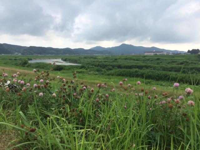 f:id:yamanouta:20160801090453j:image