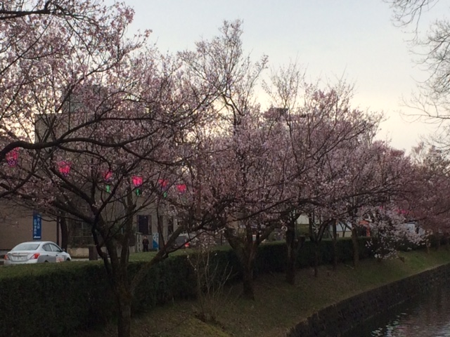 f:id:yamanouta:20170406100551j:image f:id:yamanouta:20170406100551j:image