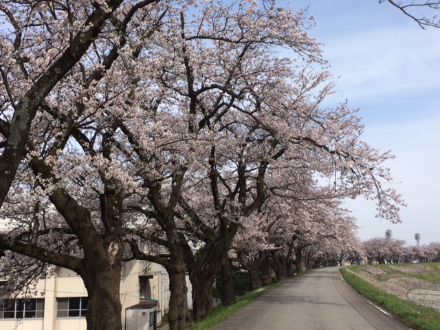 f:id:yamanouta:20170410092520j:image