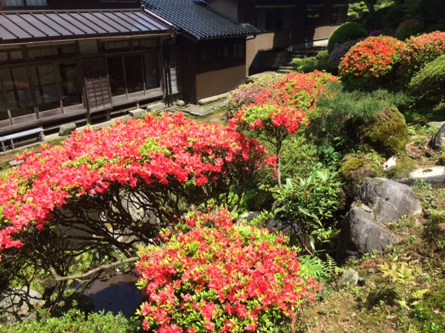 f:id:yamanouta:20170507113643j:image