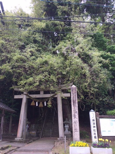 f:id:yamanouta:20170509091324j:image